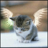 Angel_Girl
